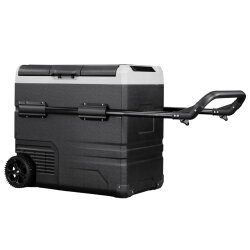 Icepeak Walmer Kompresörlü Buzdolabı 60 Litre-SİYAH - 4