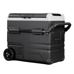Icepeak Walmer Kompresörlü Buzdolabı 60 Litre-SİYAH - 1