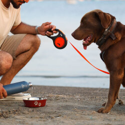 Igloo Hydrate Pro Termos 500ml-MAVİ - 6