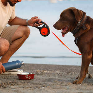 Igloo Hydrate Pro Termos 500ml-MAVİ - 6