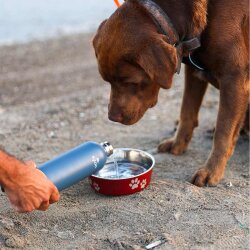 Igloo Hydrate Pro Termos 500ml-MAVİ - 7