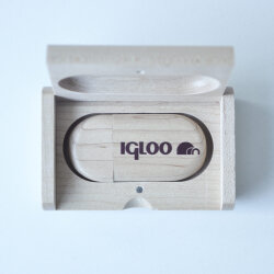 IGLOO USB 8 GB Flash Bellek - 2