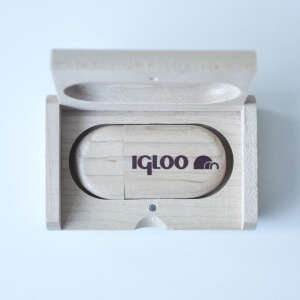 IGLOO USB 8 GB Flash Bellek - 2