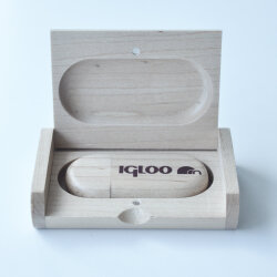 IGLOO USB 8 GB Flash Bellek - 3