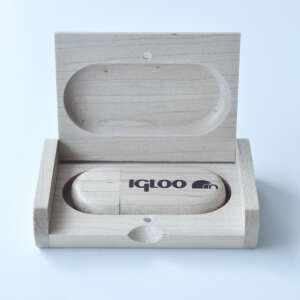 IGLOO USB 8 GB Flash Bellek - 3