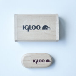 IGLOO USB 8 GB Flash Bellek - 4