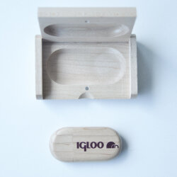 IGLOO USB 8 GB Flash Bellek - 5