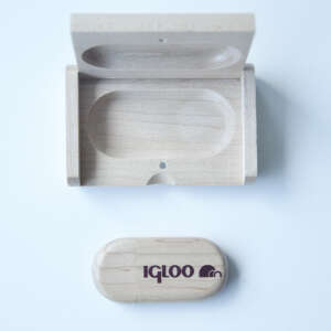IGLOO USB 8 GB Flash Bellek - 5