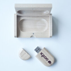 IGLOO USB 8 GB Flash Bellek - 6
