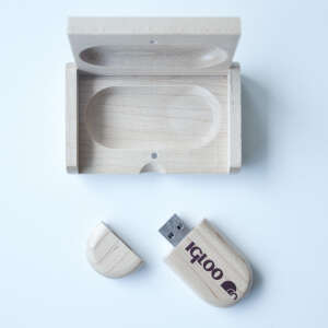 IGLOO USB 8 GB Flash Bellek - 6