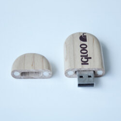IGLOO USB 8 GB Flash Bellek - 7