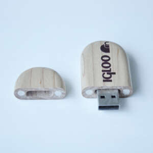 IGLOO USB 8 GB Flash Bellek - 7