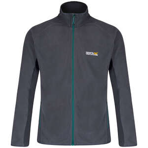 Regatta Ashton Erkek Polar-GRİ
