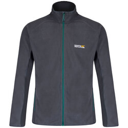 Regatta - Regatta Ashton Erkek Polar-GRİ