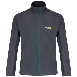 Regatta Ashton Erkek Polar-GRİ - 1