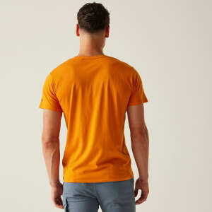 Regatta BreezedV Erkek T-Shirt-TURUNCU - 4