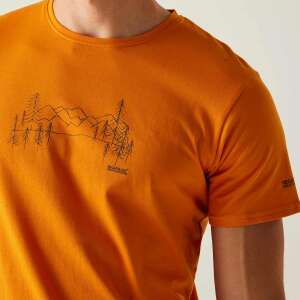 Regatta BreezedV Erkek T-Shirt-TURUNCU - 6