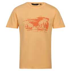 Regatta - Regatta Cline VII Erkek T-Shirt-TURUNCU