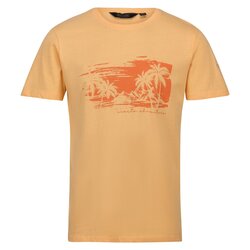 Regatta - Regatta Cline VII Erkek T-Shirt-TURUNCU