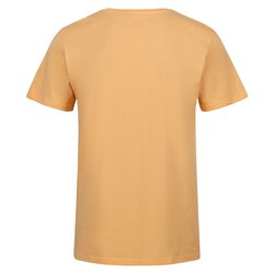 Regatta - Regatta Cline VII Erkek T-Shirt-TURUNCU (1)