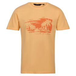 Regatta - Regatta Cline VII Erkek T-Shirt-TURUNCU