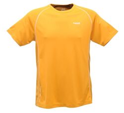 Regatta - Regatta Elixir Erkek T-Shirt-SARI