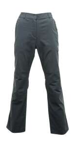 Regatta Fellwalk Str Trs Trekking Kadın Pantolon-GRİ - 1