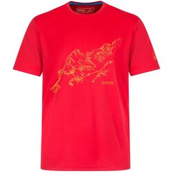 Regatta - Regatta Fingal II Erkek T-Shirt-KIRMIZI