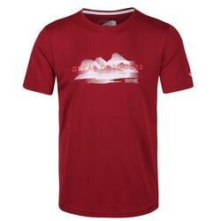 Regatta - Regatta Fingal V Erkek T-Shirt-BORDO
