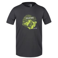 Regatta - Regatta Fingal V Erkek T-Shirt-GRİ