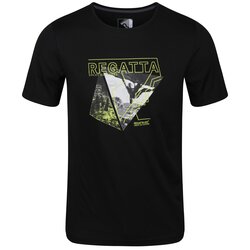 Regatta - Regatta Fingal V Erkek T-Shirt-SİYAH