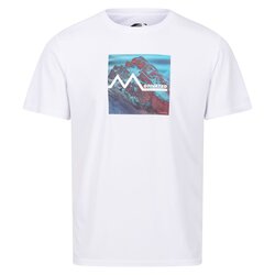 Regatta - Regatta Fingal VII Erkek T-Shirt-BEYAZ