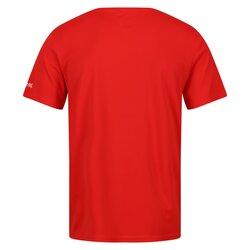 Regatta - Regatta Fingal VII Erkek T-Shirt-KIRMIZI (1)