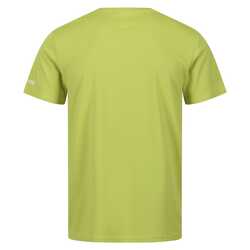 Regatta - Regatta Fingal VII Erkek T-Shirt-YEŞİL (1)