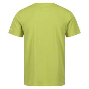 Regatta Fingal VII Erkek T-Shirt-YEŞİL