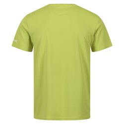 Regatta - Regatta Fingal VII Erkek T-Shirt-YEŞİL (1)