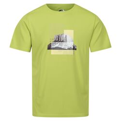 Regatta - Regatta Fingal VII Erkek T-Shirt-YEŞİL