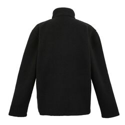 Regatta Frankie Borg Fleece Erkek Polar-SİYAH - Thumbnail