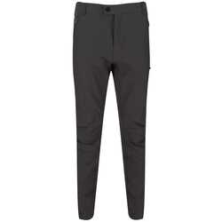 Regatta - Regatta Highton Trouser Trekking Erkek Pantolon-GRİ