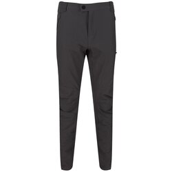 Regatta - Regatta Highton Trouser Trekking Erkek Pantolon-GRİ