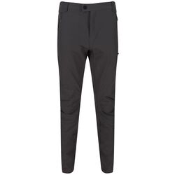 Regatta - Regatta Highton Trouser Trekking Erkek Pantolon-GRİ