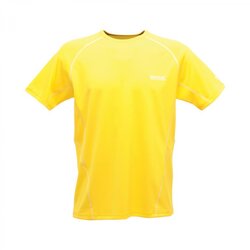 Regatta - Regatta Kendrik Erkek T-Shirt-SARI