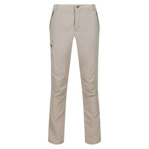 Regatta Leesville Trs II Erkek Pantolon-BEJ