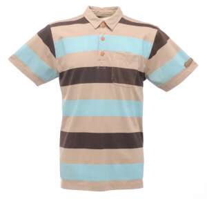 Regatta Quietstorm Polo Yaka Erkek T-Shirt-MAVİ - 1