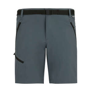 Regatta X-Ert Stretch Erkek Şort-FÜME - 1