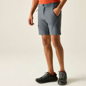 Regatta X-Ert Stretch Erkek Şort-FÜME - 3