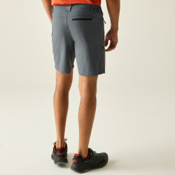 Regatta X-Ert Stretch Erkek Şort-FÜME - 4