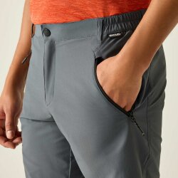 Regatta X-Ert Stretch Erkek Şort-FÜME - 6