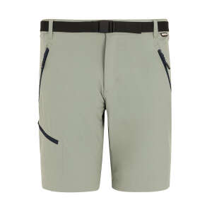 Regatta X-Ert Stretch Erkek Şort-YEŞİL - 1