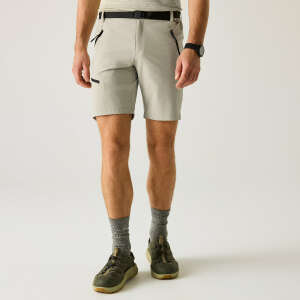 Regatta X-Ert Stretch Erkek Şort-YEŞİL - 3
